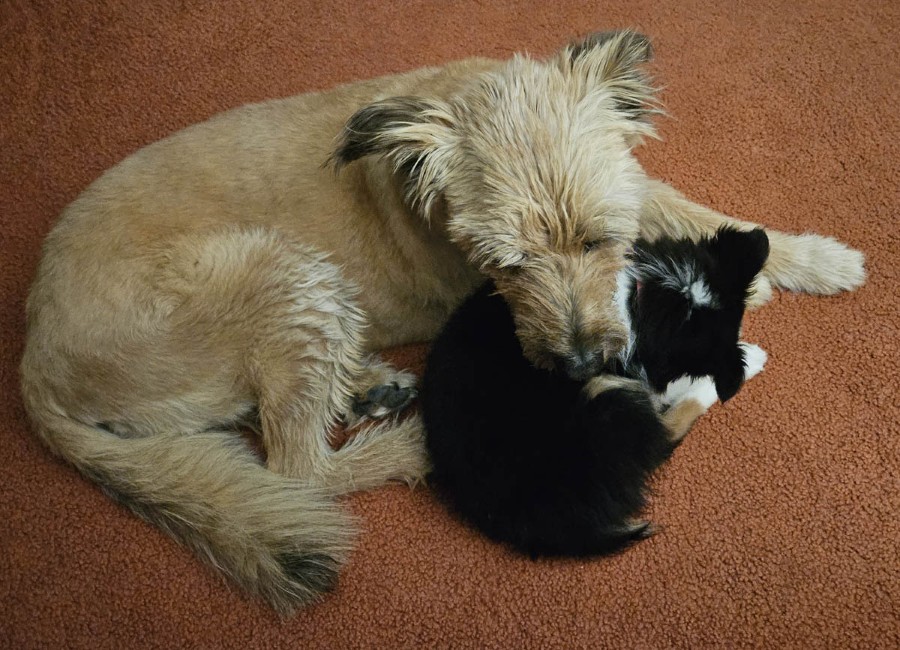 Step Mom & Baby